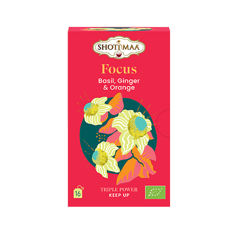 Tisana Basilico Zenzero Arancia - Triple Power Focus