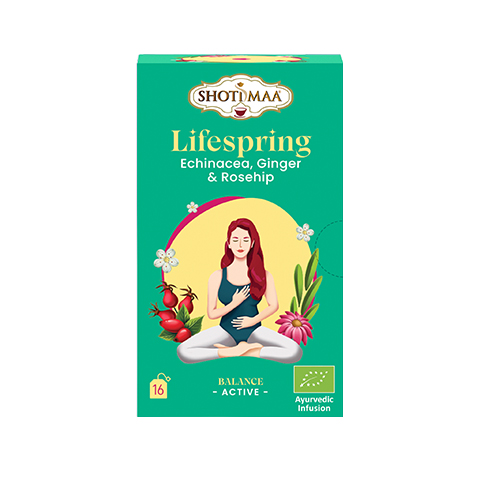Tisana Echinacea Zenzero Rosa canina - Balance Lifespring