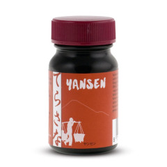 TS Import Yansen - Bevanda solubile di Tarassaco