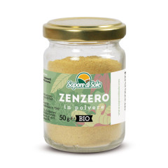Zenzero in Polvere