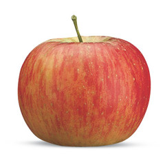 Maso del Gusto Mele Topaz Trentino