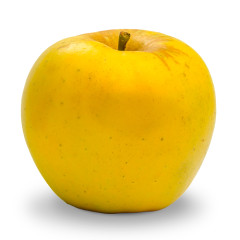 Maso del Gusto Mele Opal Trentino