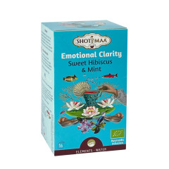Shoti Maa Tisana Ayurvedica Ibisco Dolce e Menta - Emotional Clarity