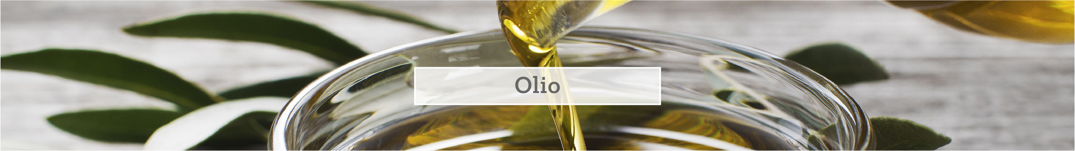 Oli Oli