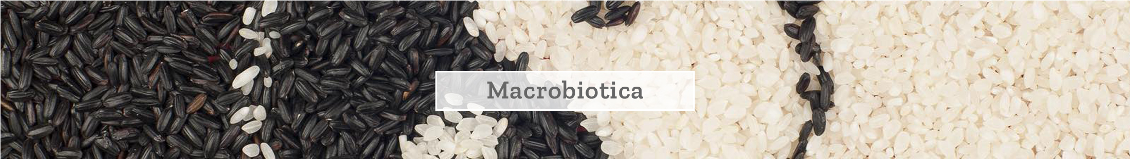 Macrobiotica Macrobiotica