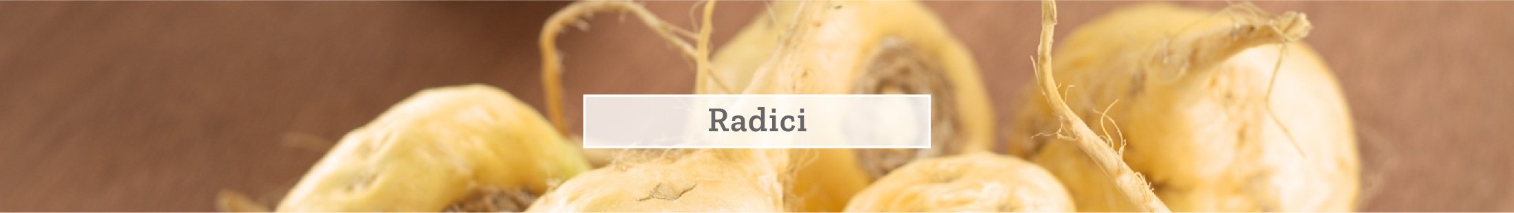 Radici