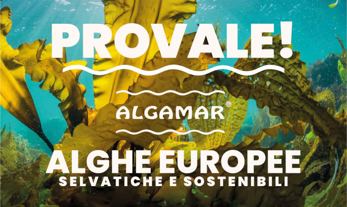Promo Algamar