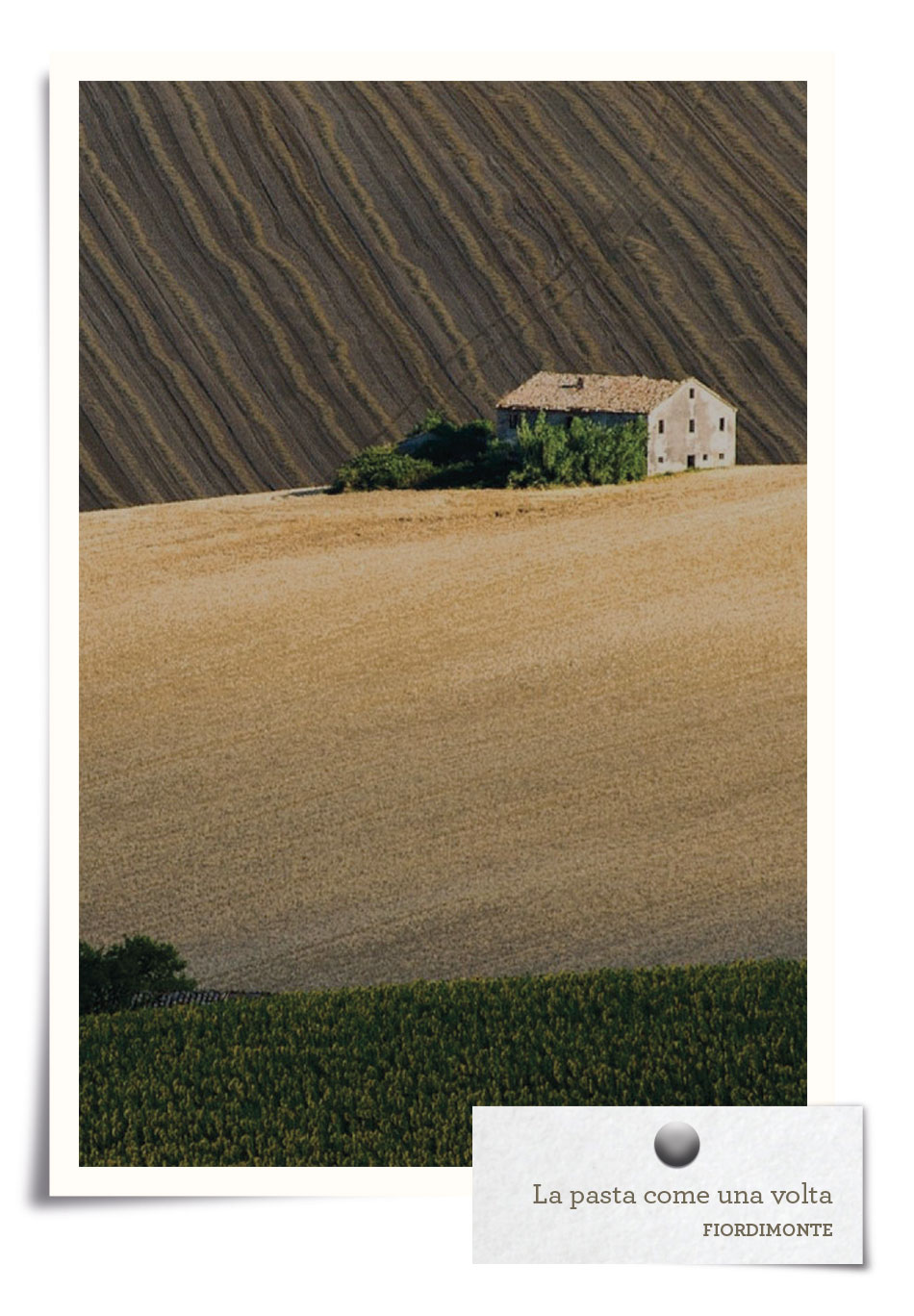 mondo raw illustrazione mondo raw illustrazione