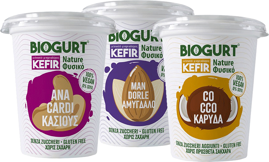 Biogurt Kefir anacardi, mandorle, cocco
