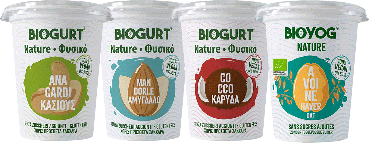Biogurt anacardi, mandorle, cocco