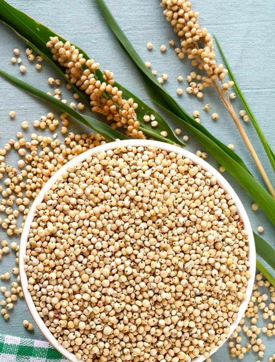 Sorgo Bianco Decorticato