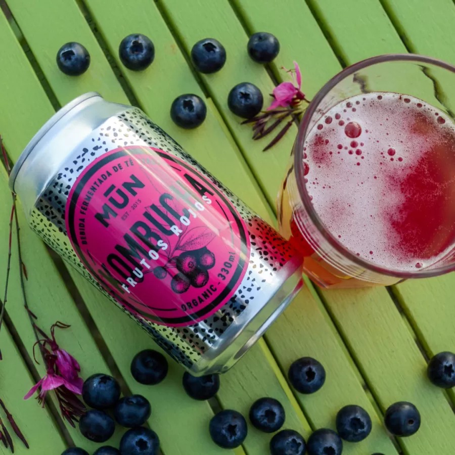 Kombucha Frutti Rossi - lattina
