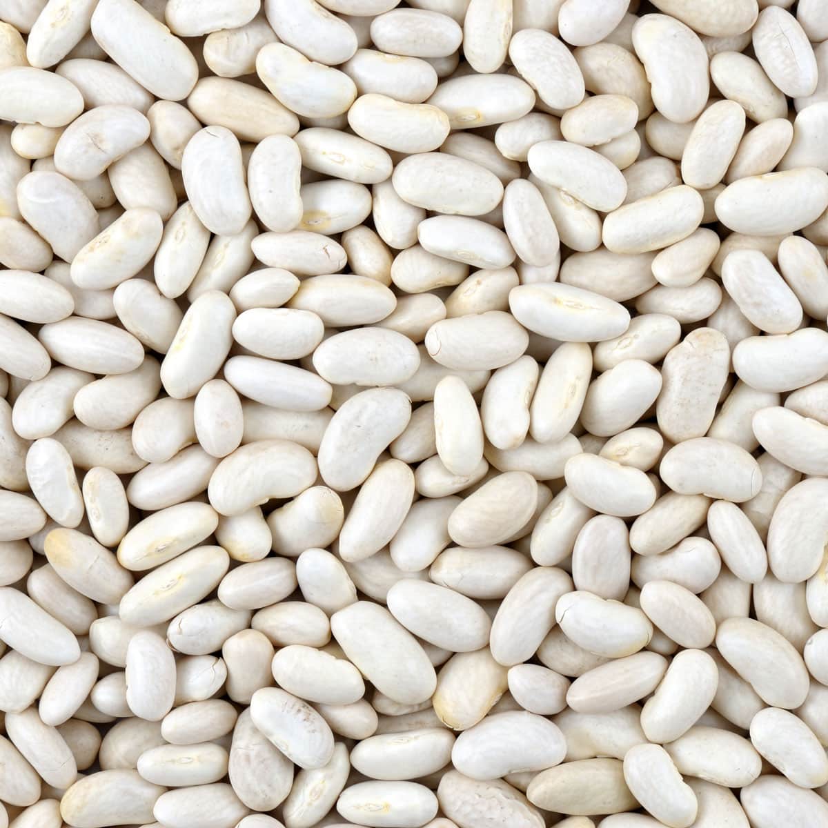Fagioli Cannellini