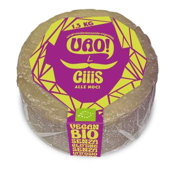 CIIIS Noci - forma