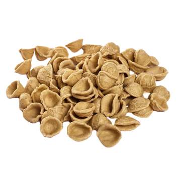 Orecchiette fresche di Grano arso