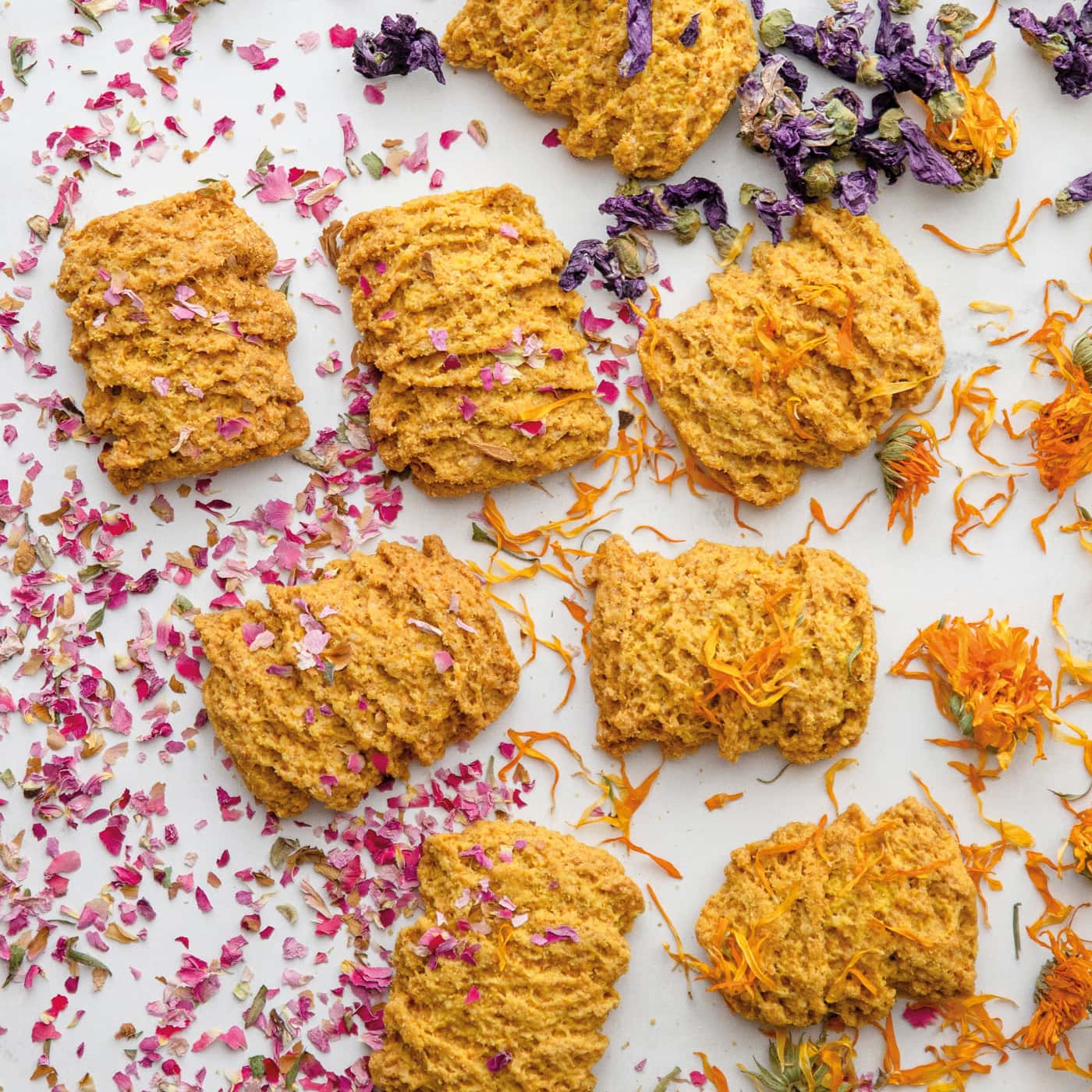 Biscotti biologici e vegani da filiera etica
